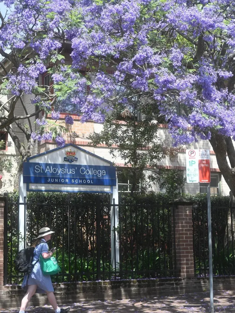 救命！雪梨真的比墨爾本香太多了！🌊🌞