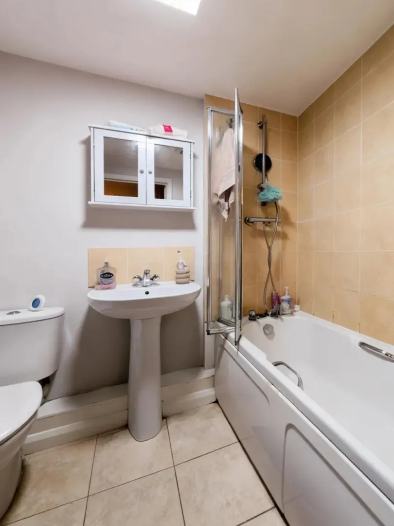 🌟【南安普顿宝藏1b1b】🌟