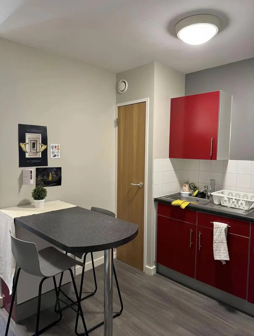 🌈布里斯托studio 找下一任租客～捡漏了