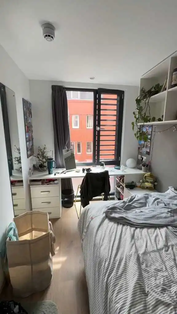 布里斯托 3b3b 拼🇨🇳室友