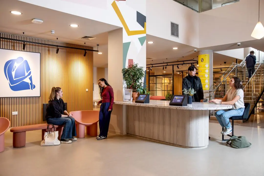 ✨歪？是來看我的Stapleton House Studio嗎？