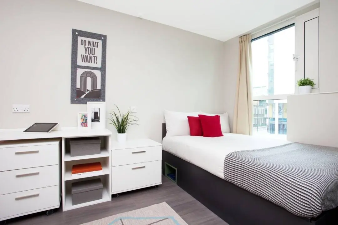 ✨歪？是來看我的Stapleton House Studio嗎？