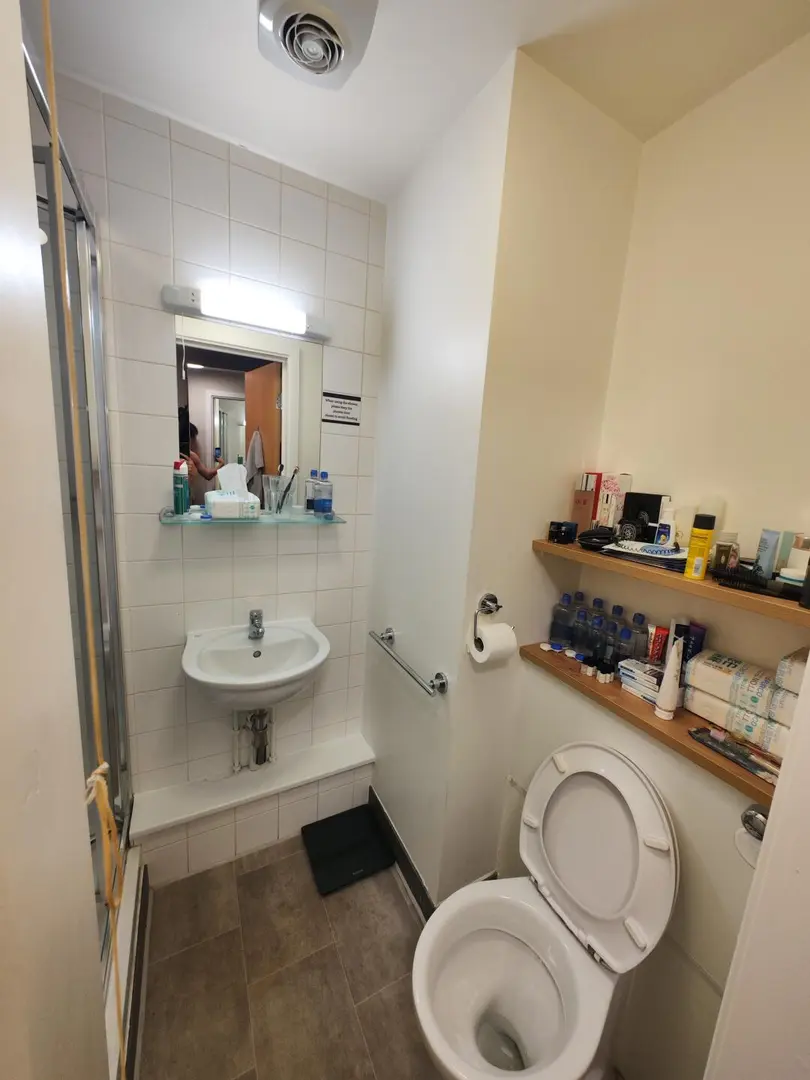 布里斯托 带洗衣机studio低价找租客