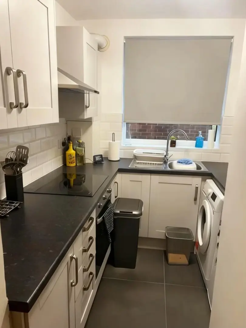 🚨南安普顿2b2b找室友，宠物友好