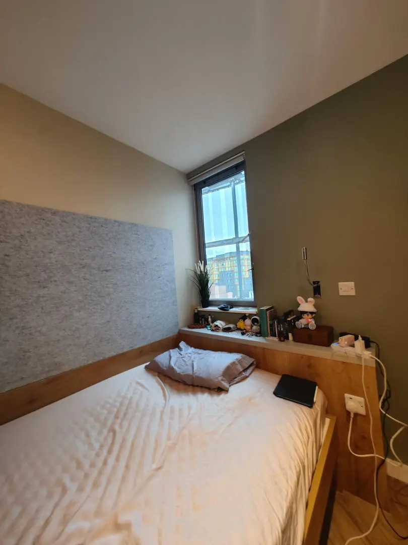 布里斯托 带洗衣机studio低价找租客