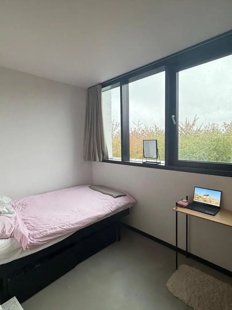 爱丁堡出租包bill的studio在gs和kb校区中间