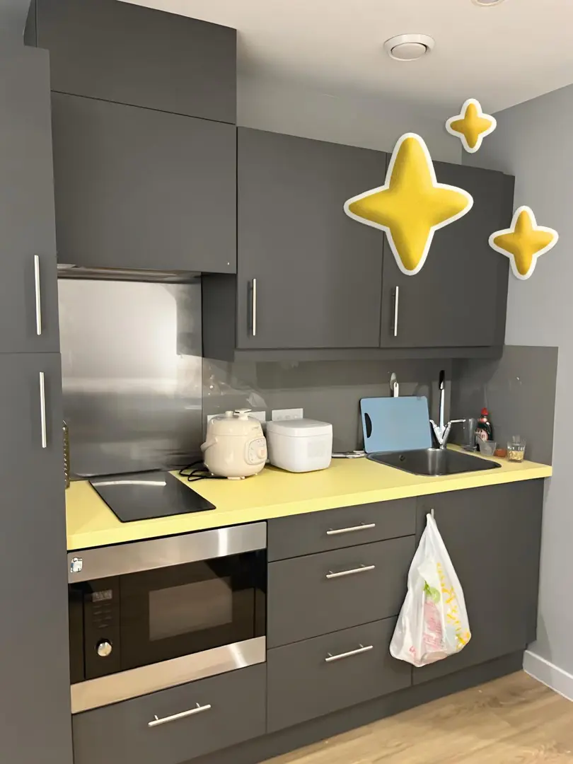 利兹26fall｜大落地窗studio正课转租