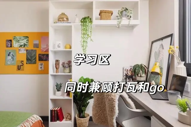 謝菲｜超高性價比好房