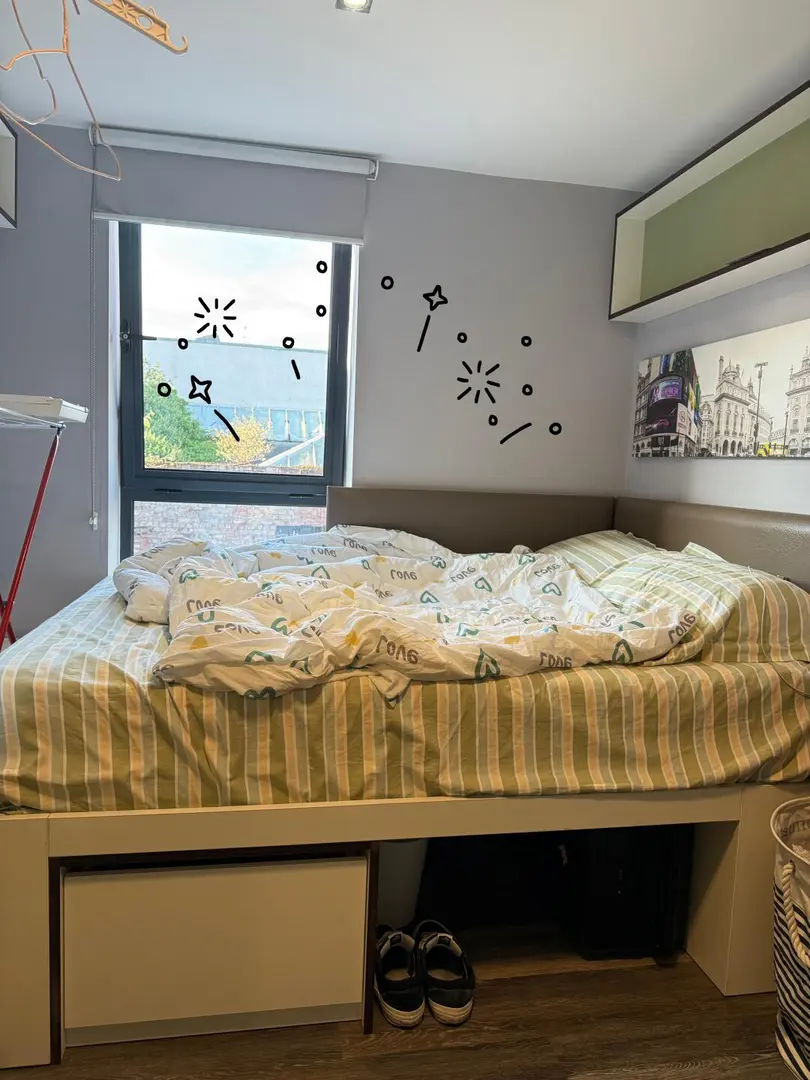 ➗曼大南校區 studio，包bills