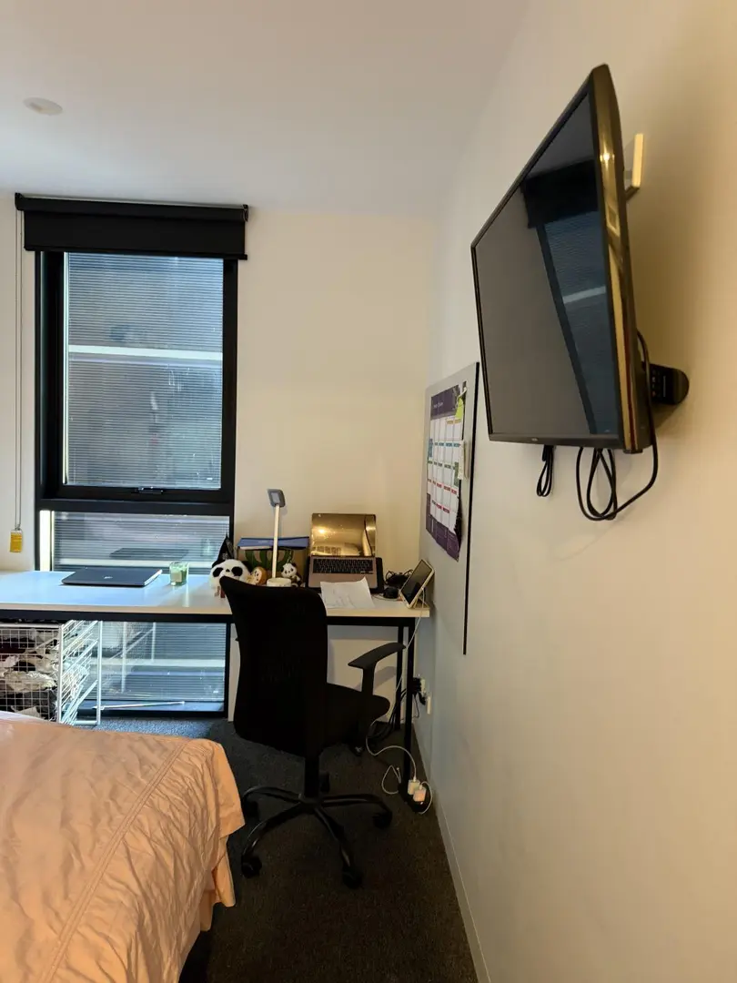 近布大｜温馨小窝找下一任租客、2**pw