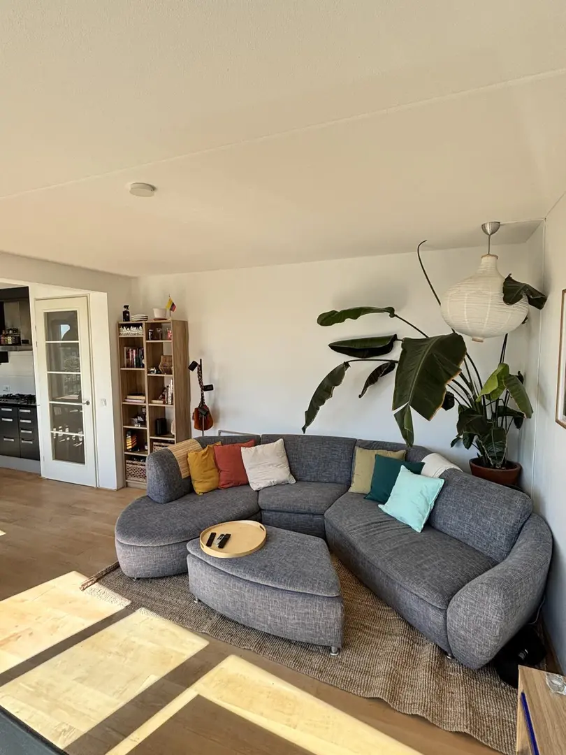 謝菲急➗大面積1b 可雙人 房東直租 採光好