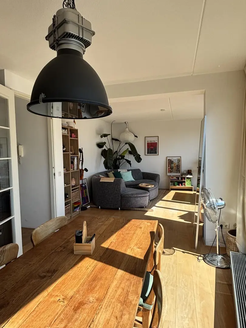 謝菲急➗大面積1b 可雙人 房東直租 採光好