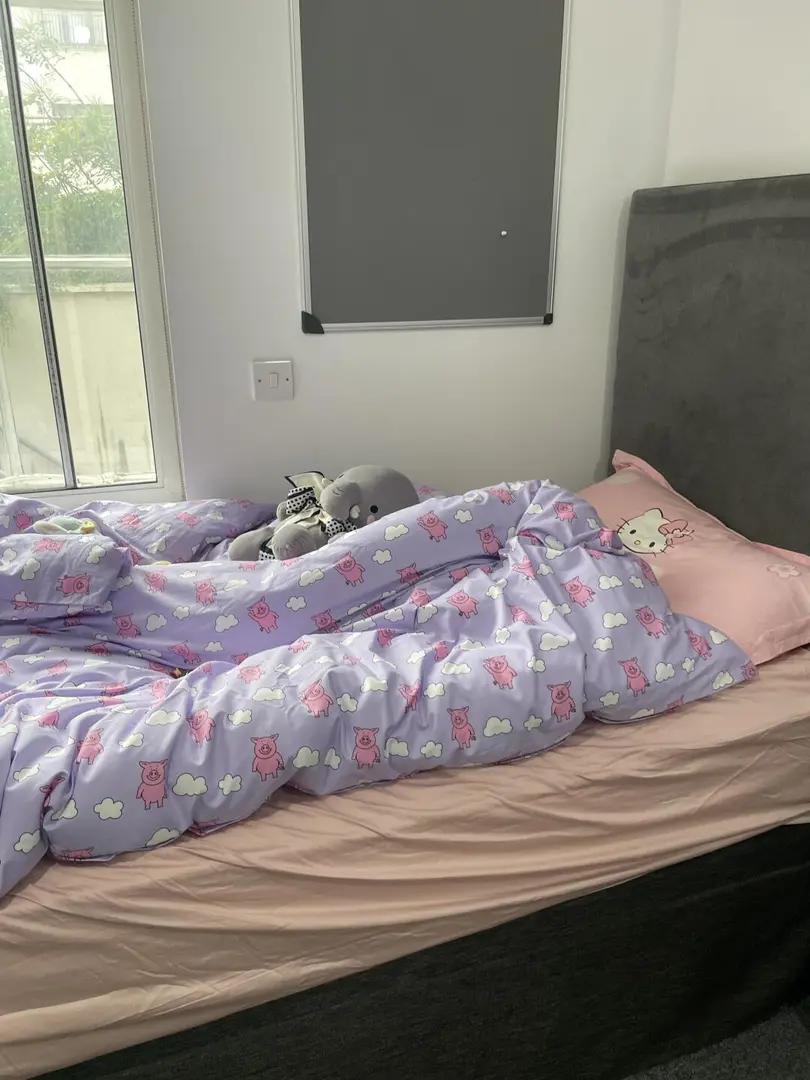 布里斯托低价拼全中室友、带洗衣机