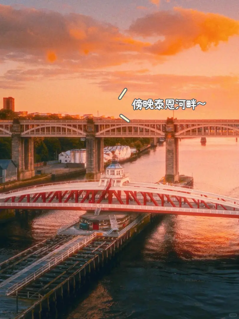纽卡斯尔漫游指南🌊 自然与复古撞个满怀