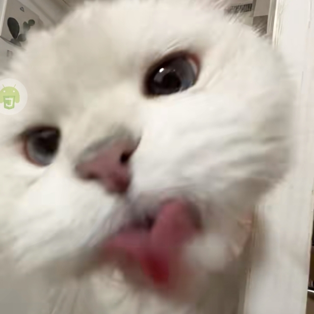 ✨诺丁汉 Newtown House - iQ 留学生公寓