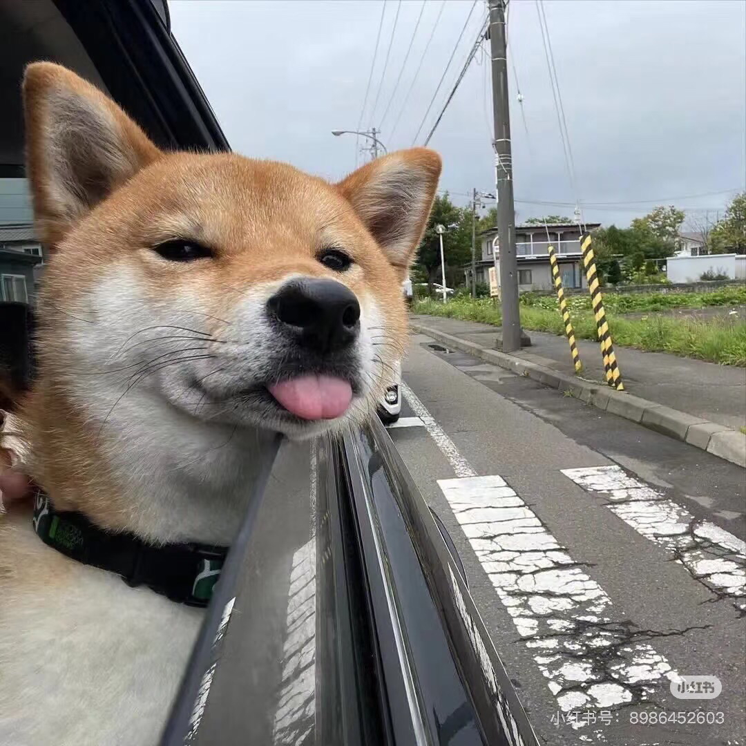 超适合UCL！好大的房间啊