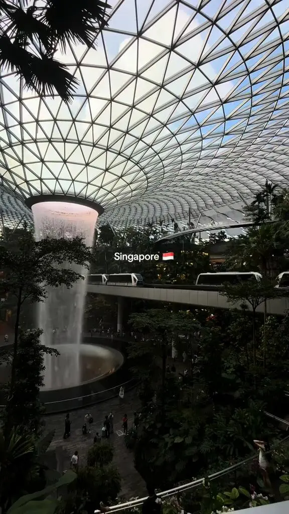 🇸🇬新加坡！