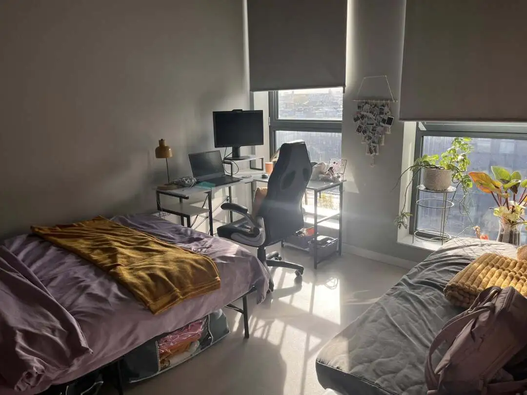 爱丁堡艺术学院转租studio，包bill带🔪