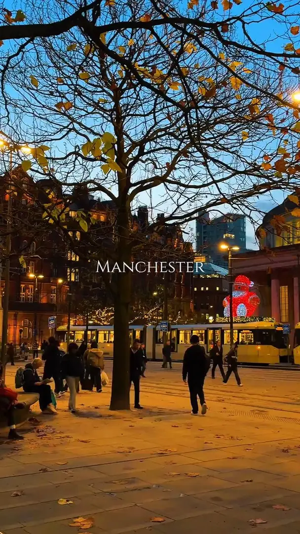 曼城的冬令時❄