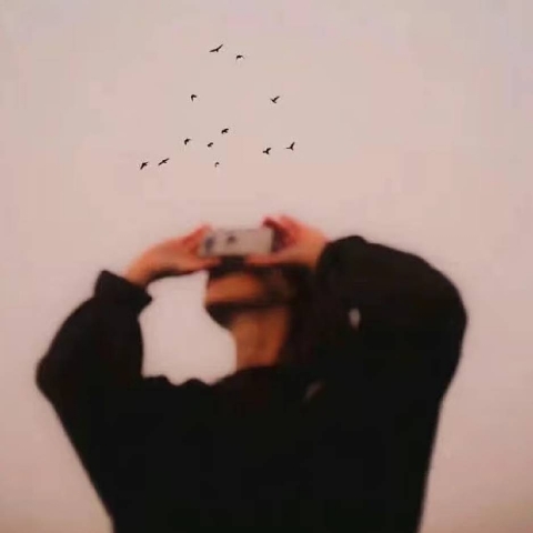 阿德莱德转租，500pw可🔪