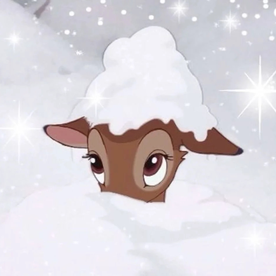 墨尔本Southbank转租2b2b，双人入住可免