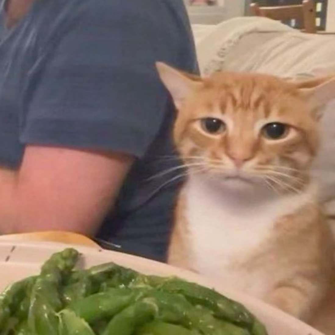 纽卡斯尔帮朋友转租studio｜包bill💰