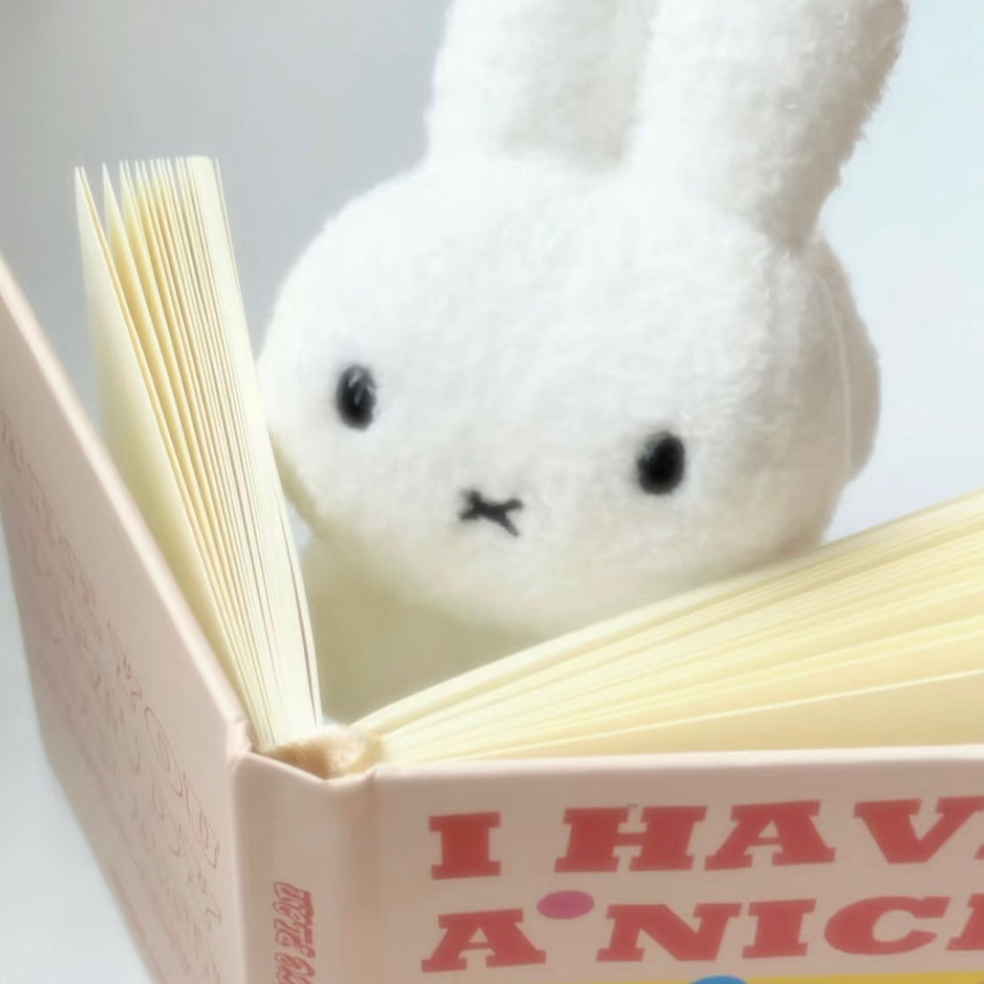 伦敦｜🥬个人住阁楼loft🏠包bill