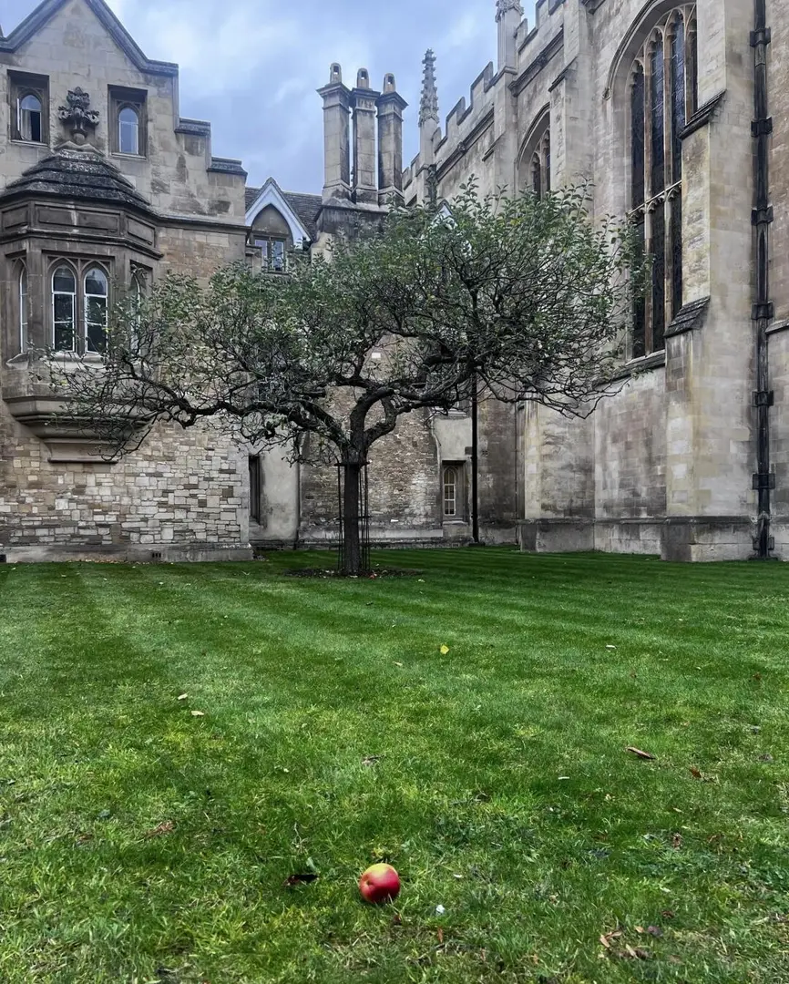 🇬🇧剑桥一日游分享之极限打卡篇💗