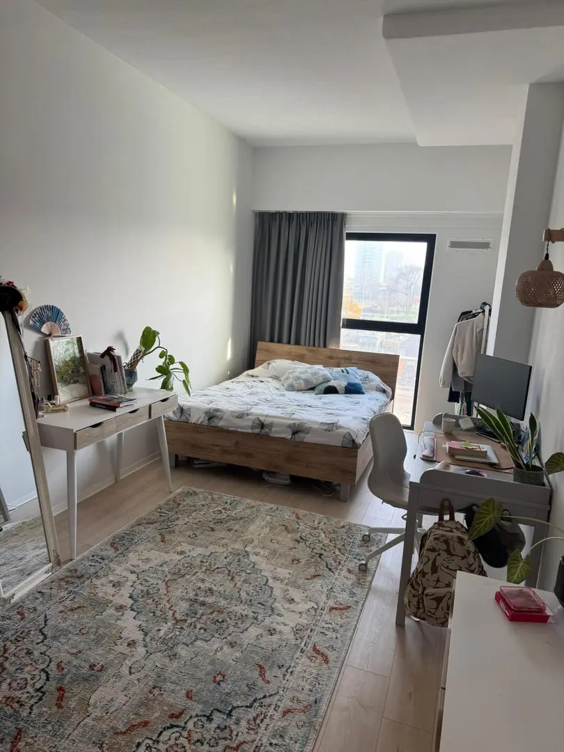 伦敦Stratford区转租1b1b，400考虑养宠物