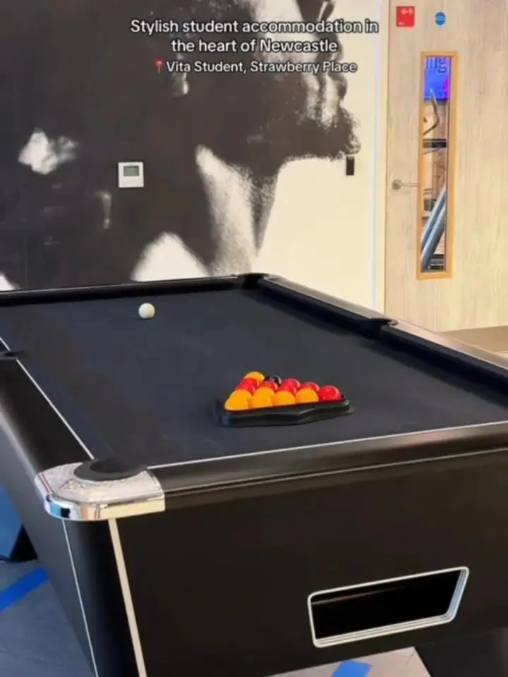 🍓紐卡留學住進Vita草莓公寓後..真香警告