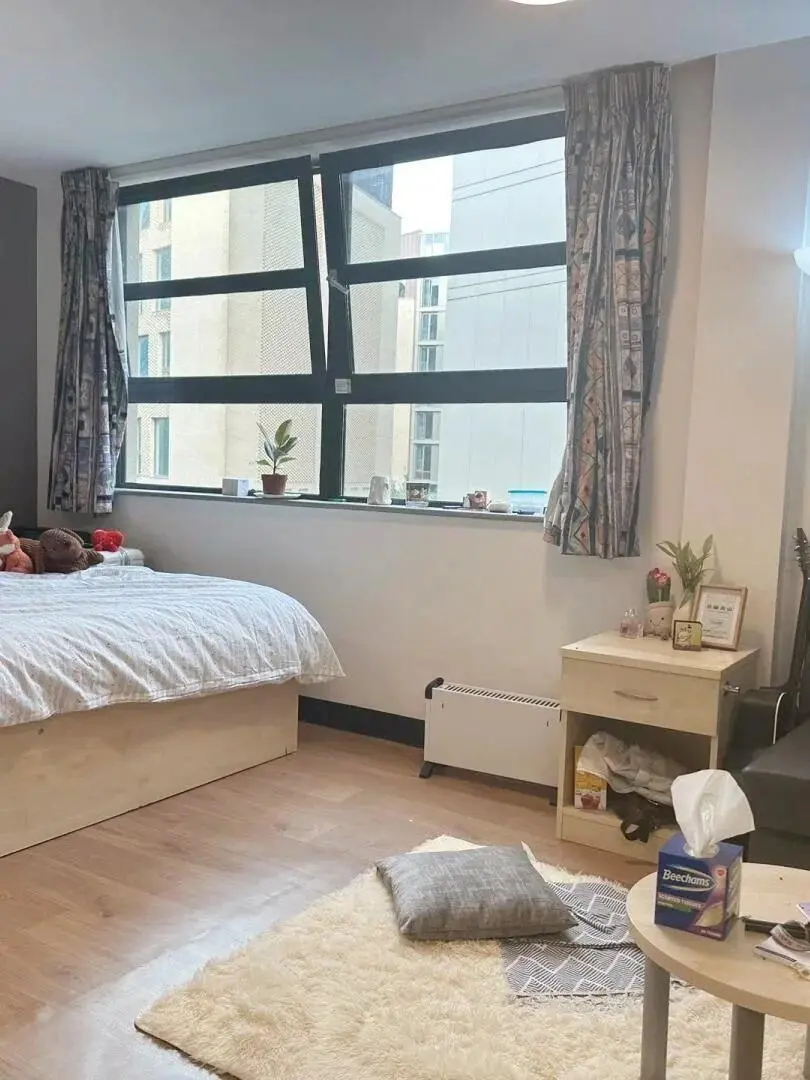 步行到纽大的双窗studio极限➗包bills