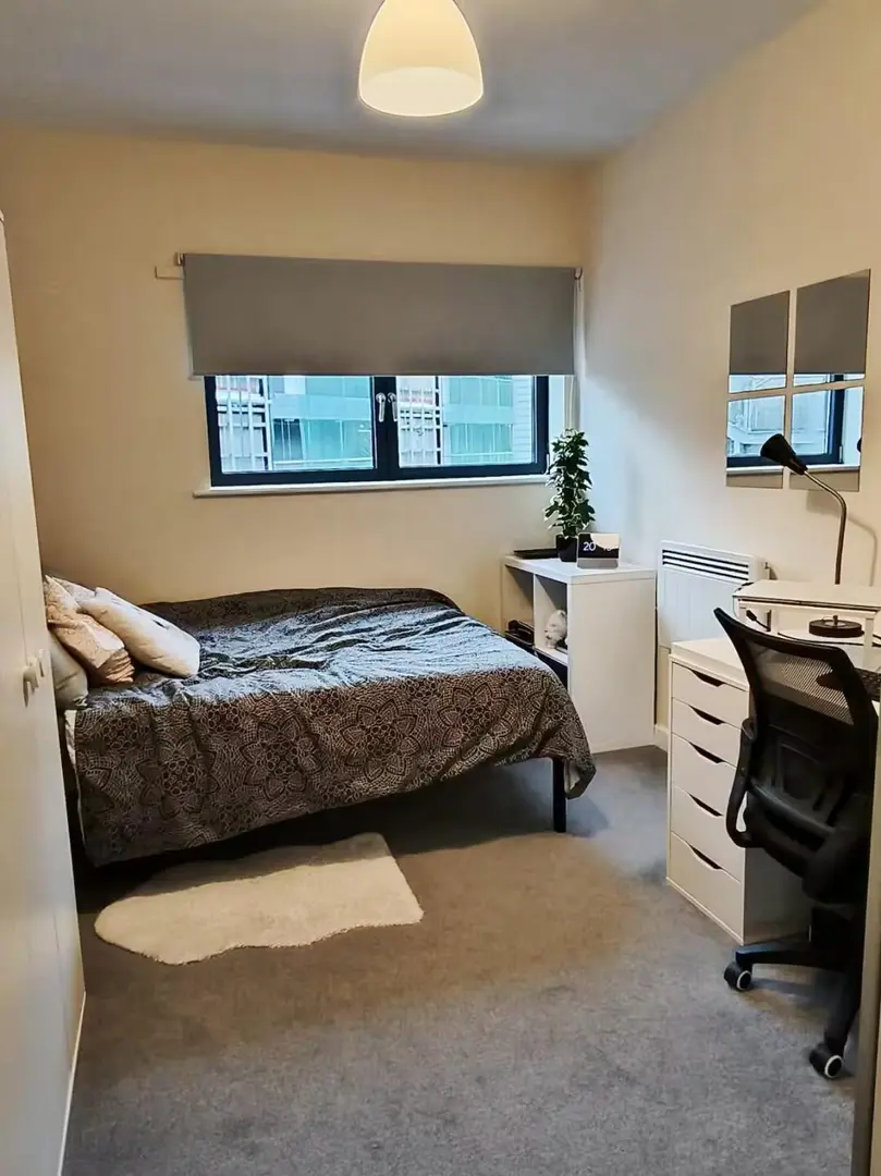 ➗纽大旁边的studio 包bills