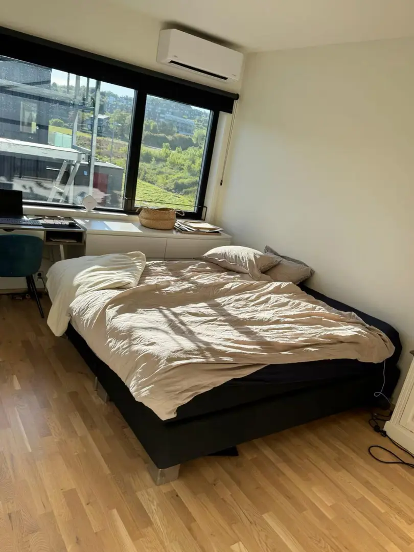 紐卡這間寶藏Studio，能住到畢業！