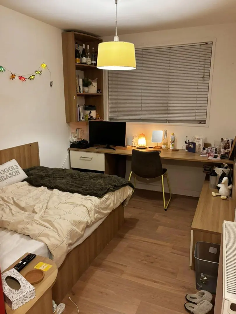 伦敦UCL200+的3b有人一起拼吗？