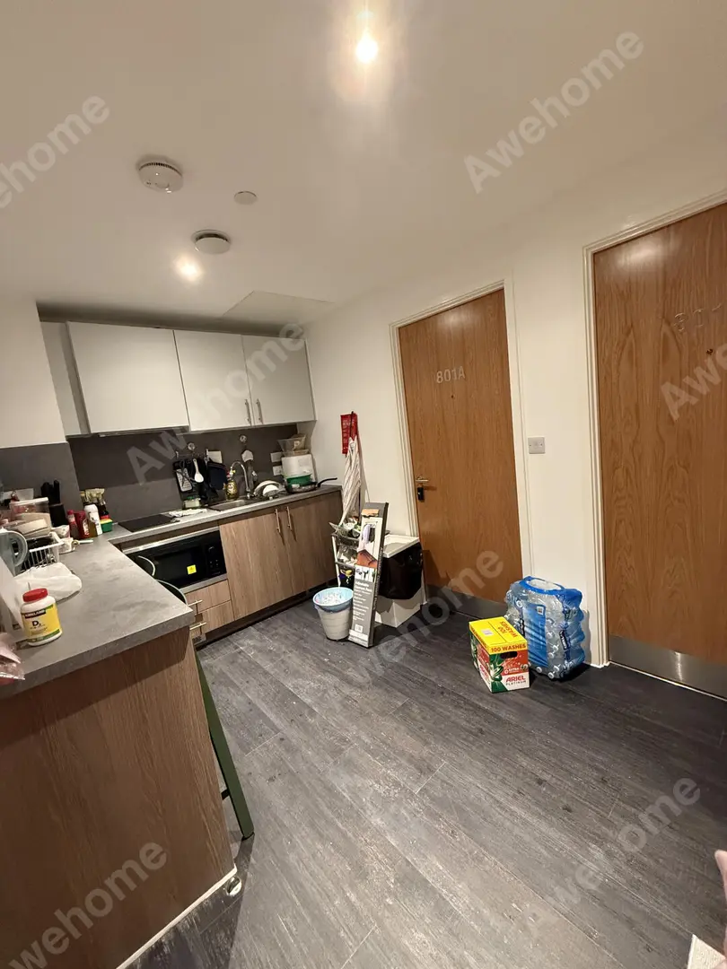 布里斯托ensuite带洗碗机 新老校区中间