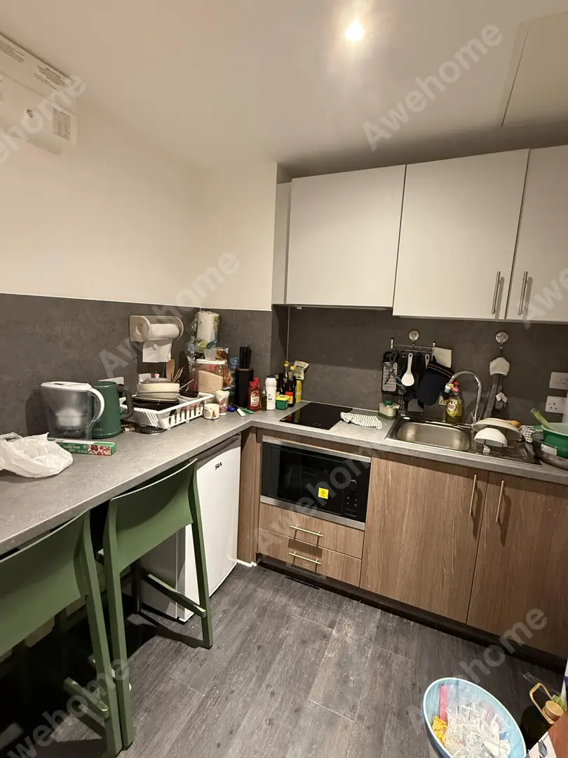 布里斯托ensuite带洗碗机 新老校区中间