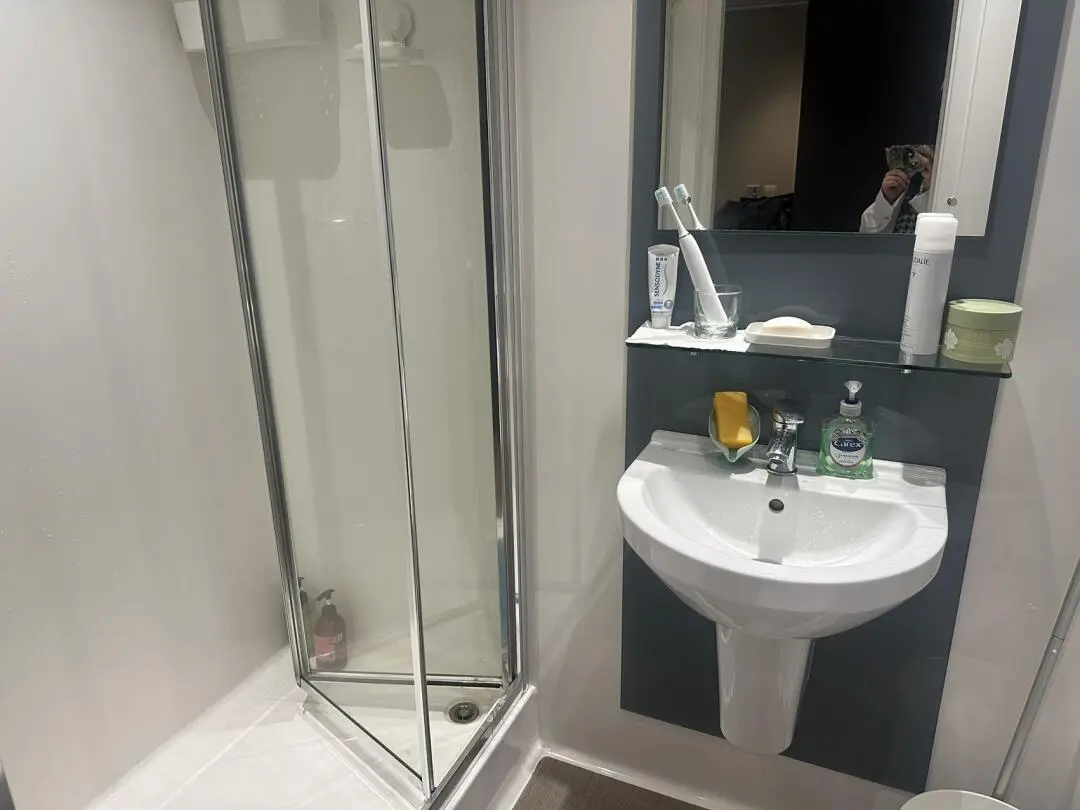 Bristol 留子温馨小窝｜🥹有事离开找下任