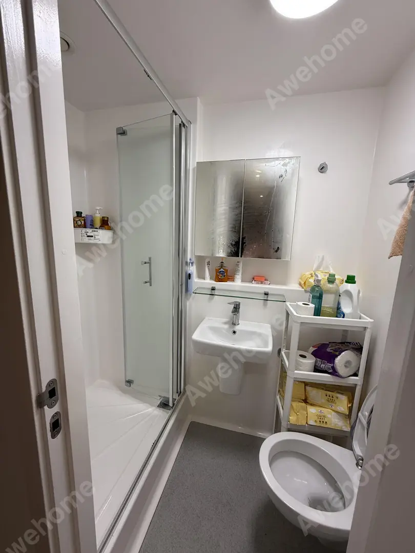 布里斯托ensuite带洗碗机 新老校区中间