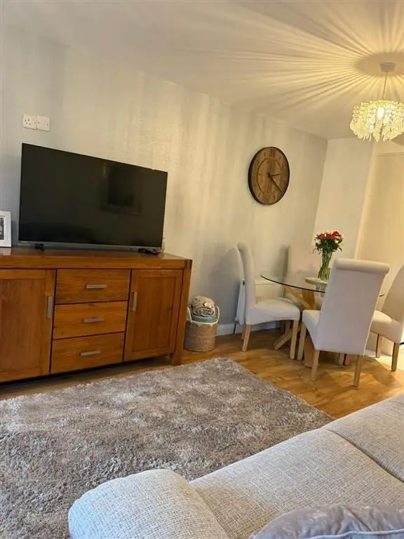 紐卡1b1b➗ 找下一任租客～