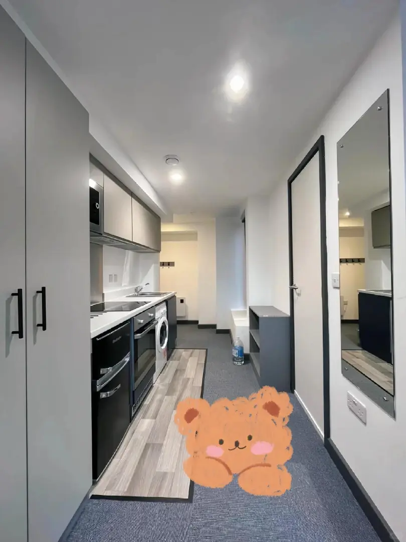 🇬🇧伦敦｜转租我的studio，只要300pw