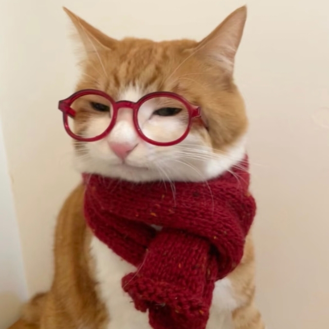 伦敦一区带空调，拼全中国人室友～