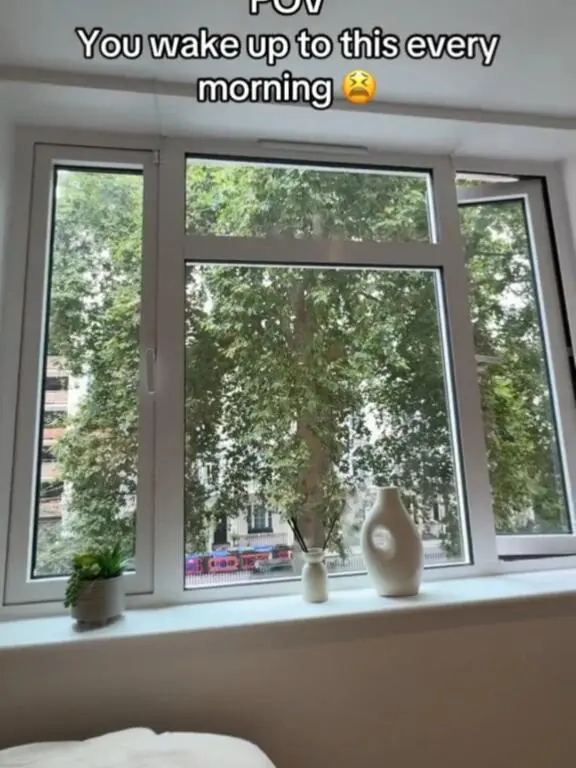 步行到ic的树景🏠studio💚现在起…