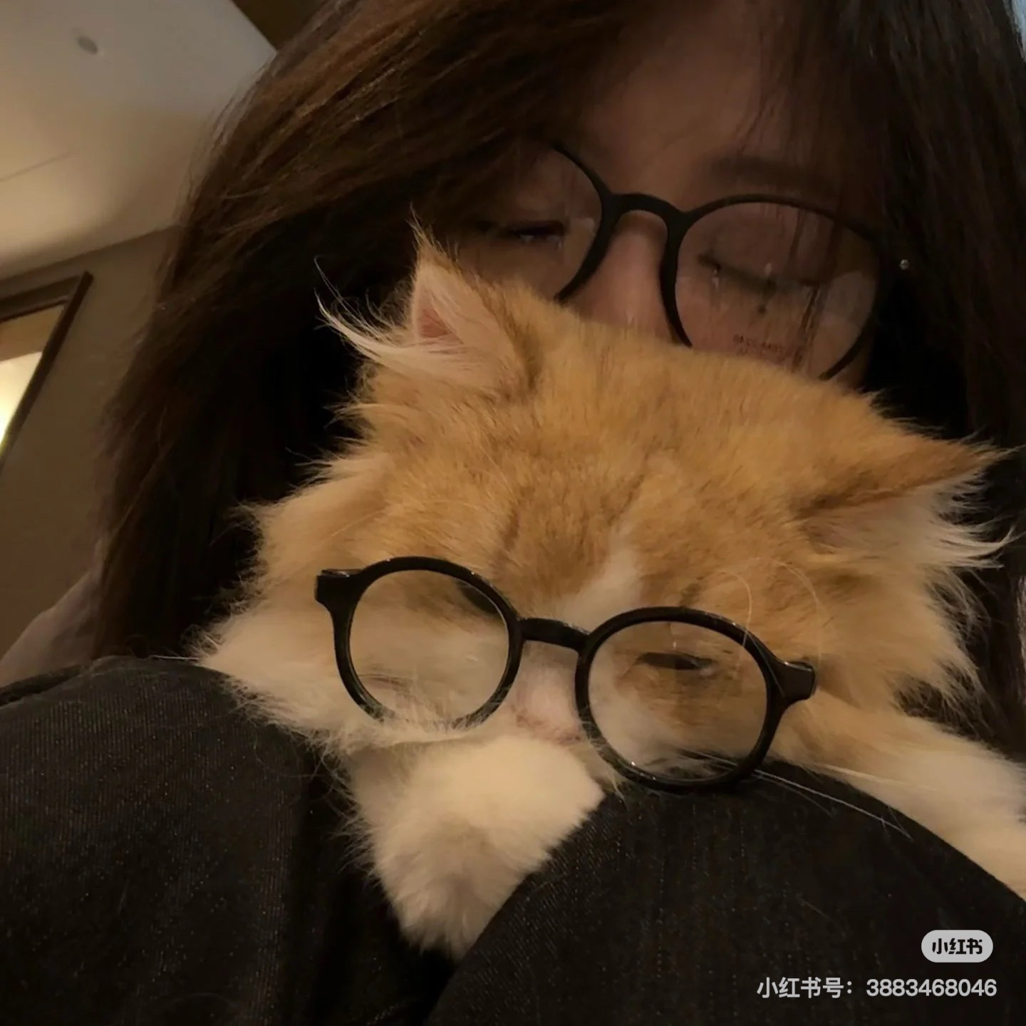 一個美麗而陰沉的早晨