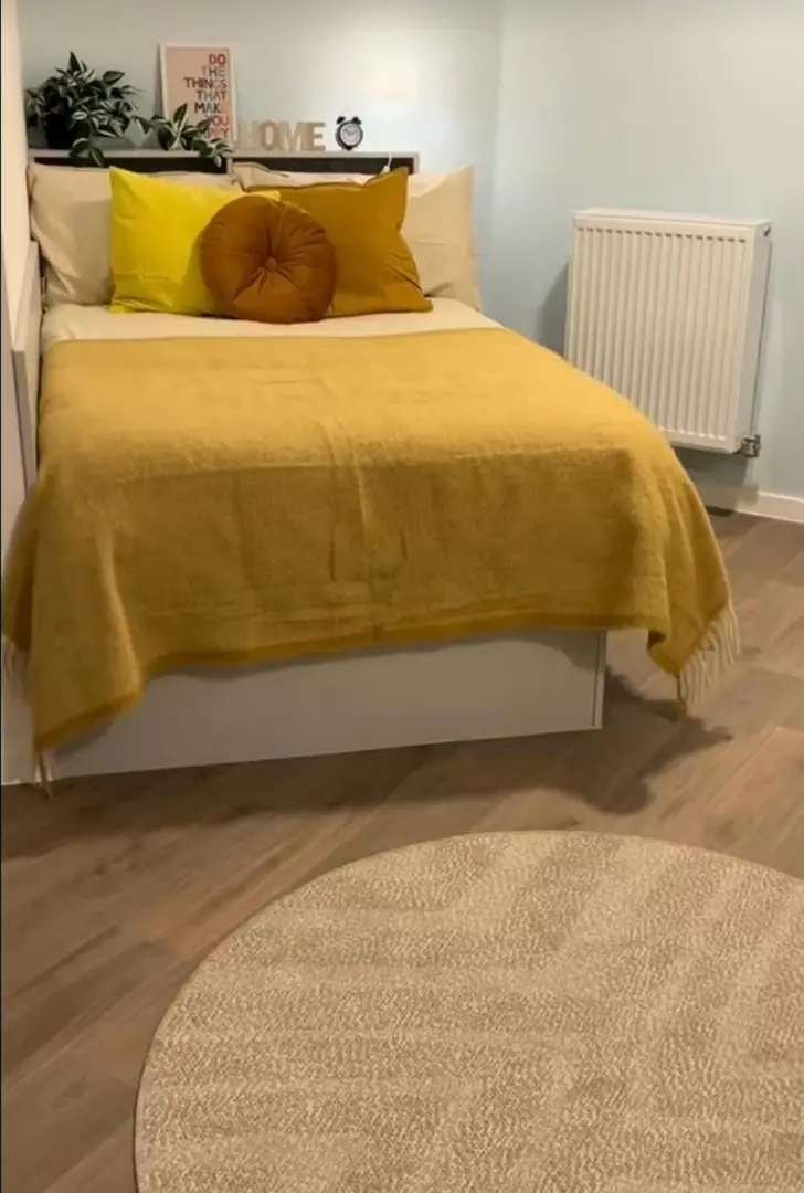 🏠布里斯托挖到宝！Brigg Point 体验拉满