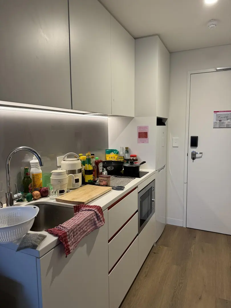 Bristol坡上studio急出！布大旁全包bill