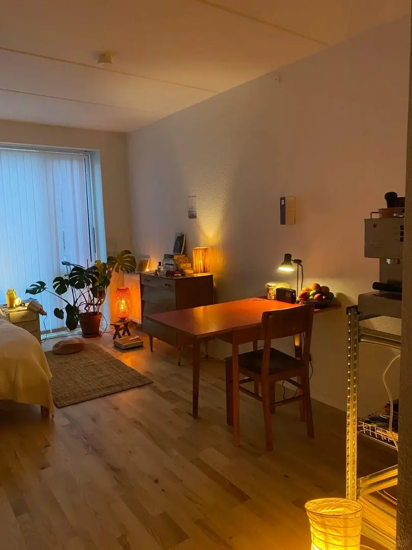 纽卡斯尔落地窗studio ｜骨折➗，走合同