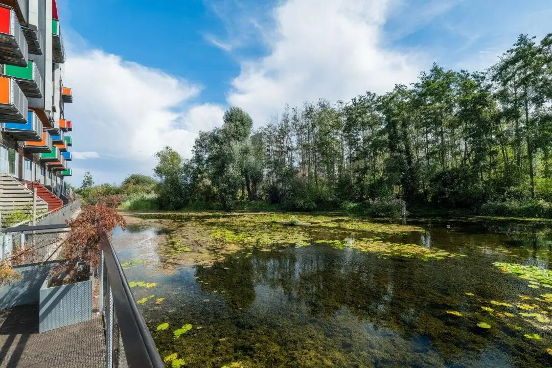 26fall 新生闭眼冲！伦敦 1B 宜居省心窝