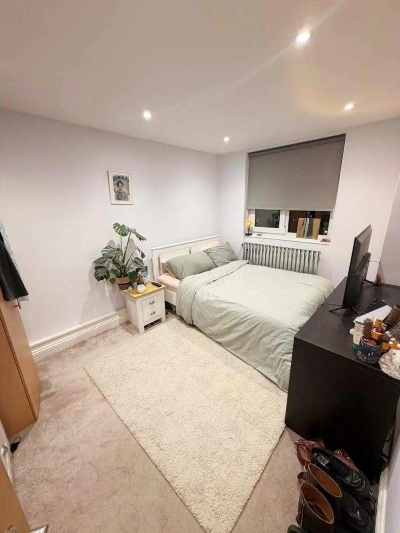 纽卡 转租1b1b超大落地窗 精装公寓！