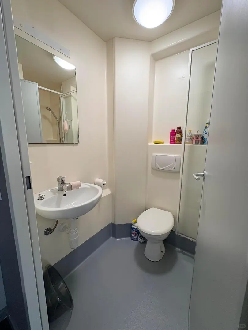 纽卡studio转租，步行5min到两大学🚇