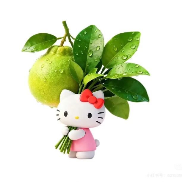 🇯🇵東京都新宿區好房轉➗